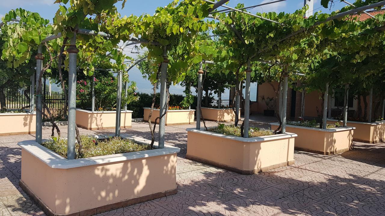 Lisandro Wine Resort Apartments Caserta Castel Campagnano Buitenkant foto
