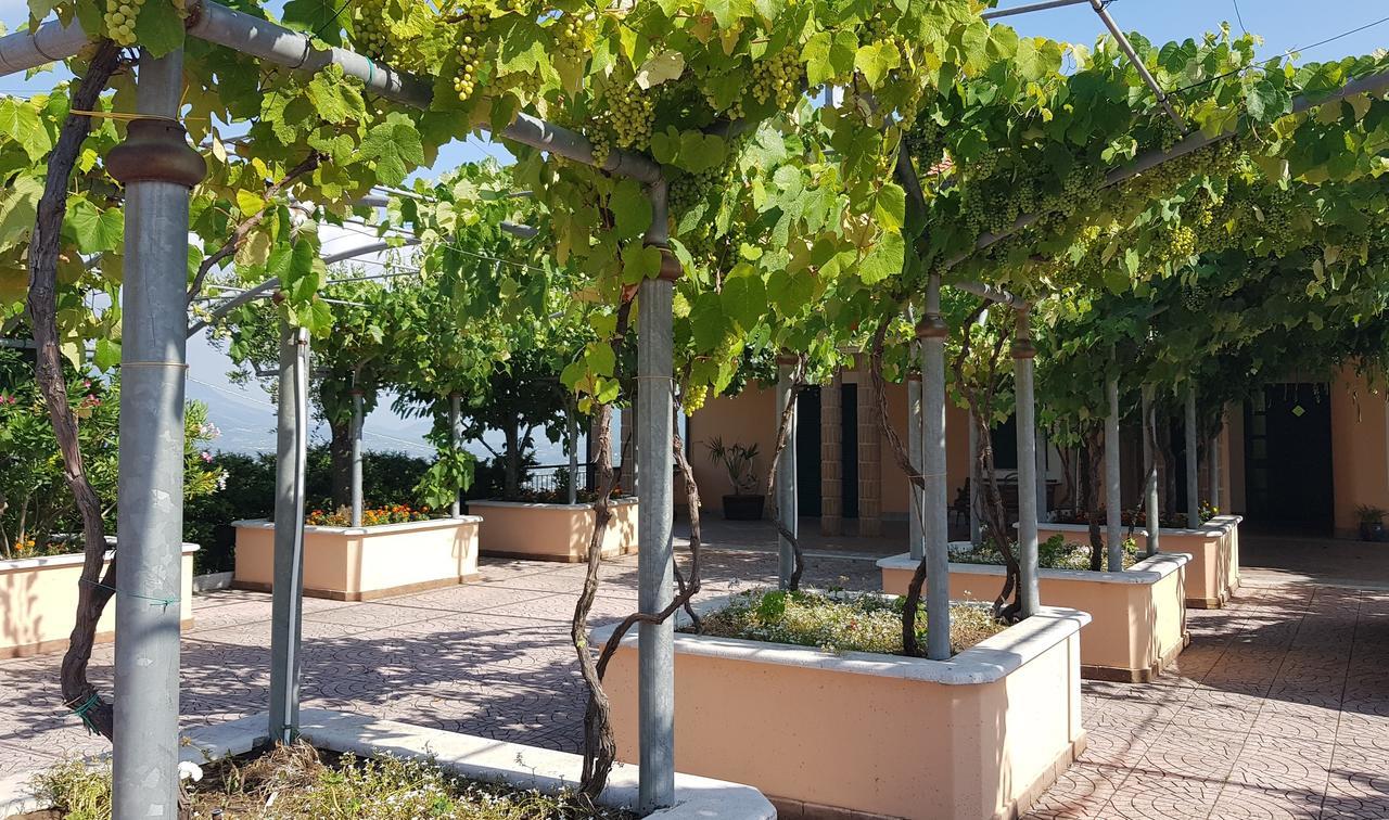 Lisandro Wine Resort Apartments Caserta Castel Campagnano Buitenkant foto