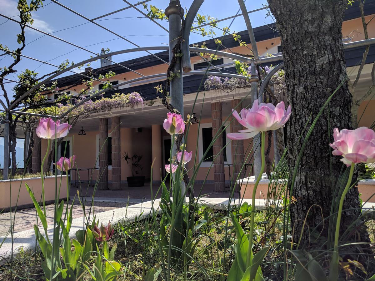 Lisandro Wine Resort Apartments Caserta Castel Campagnano Buitenkant foto